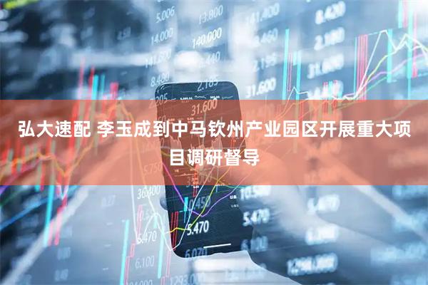 弘大速配 李玉成到中马钦州产业园区开展重大项目调研督导