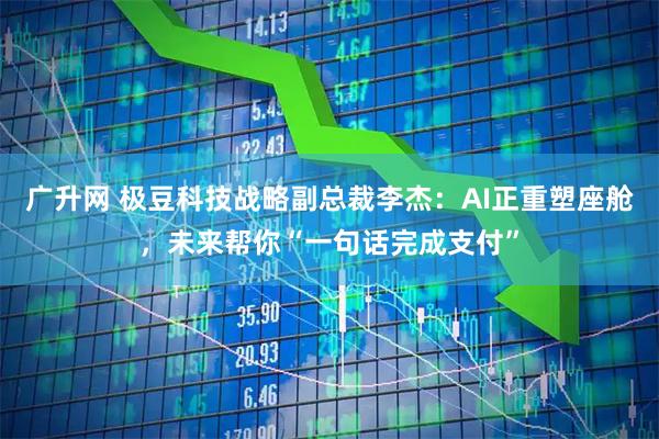 广升网 极豆科技战略副总裁李杰：AI正重塑座舱，未来帮你“一句话完成支付”