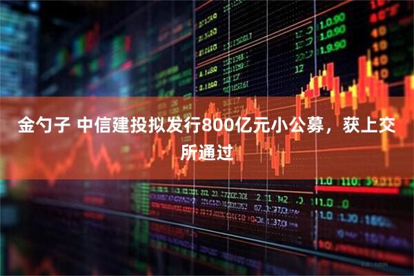 金勺子 中信建投拟发行800亿元小公募，获上交所通过