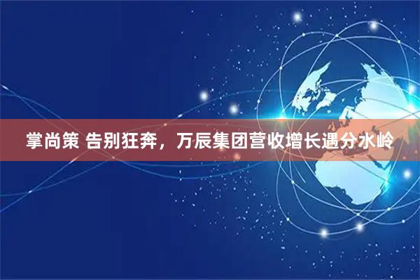 掌尚策 告别狂奔，万辰集团营收增长遇分水岭