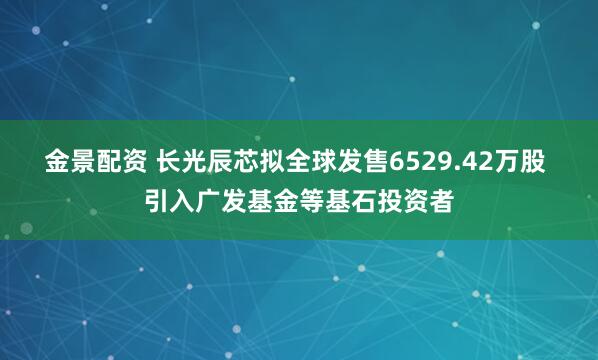 金景配资 长光辰芯拟全球发售6529.42万股 引入广发基金等基石投资者