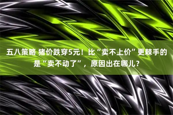 五八策略 猪价跌穿5元！比“卖不上价”更棘手的是“卖不动了”，原因出在哪儿？