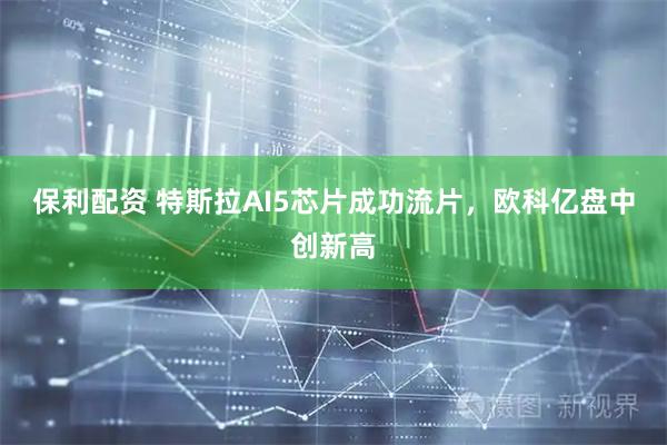 保利配资 特斯拉AI5芯片成功流片，欧科亿盘中创新高