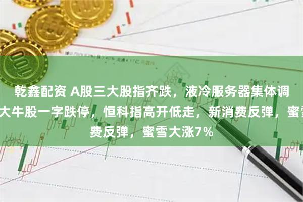乾鑫配资 A股三大股指齐跌，液冷服务器集体调整、千亿大牛股一字跌停，恒科指高开低走，新消费反弹，蜜雪大涨7%