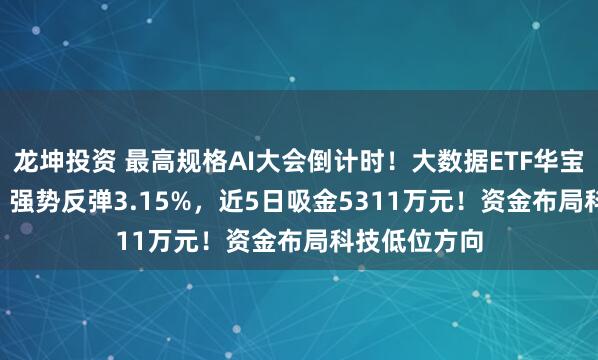 龙坤投资 最高规格AI大会倒计时！大数据ETF华宝（516700）强势反弹3.15%，近5日吸金5311万元！资金布局科技低位方向